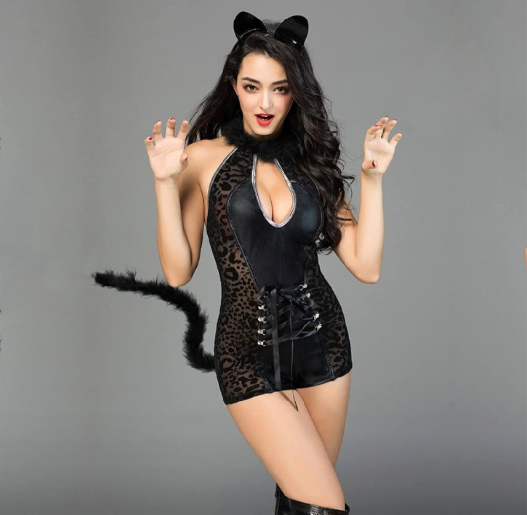 Black cat